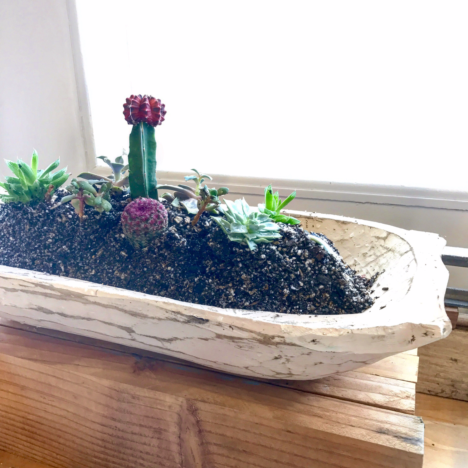Kon Tiki Succulent Planter by Stabiles