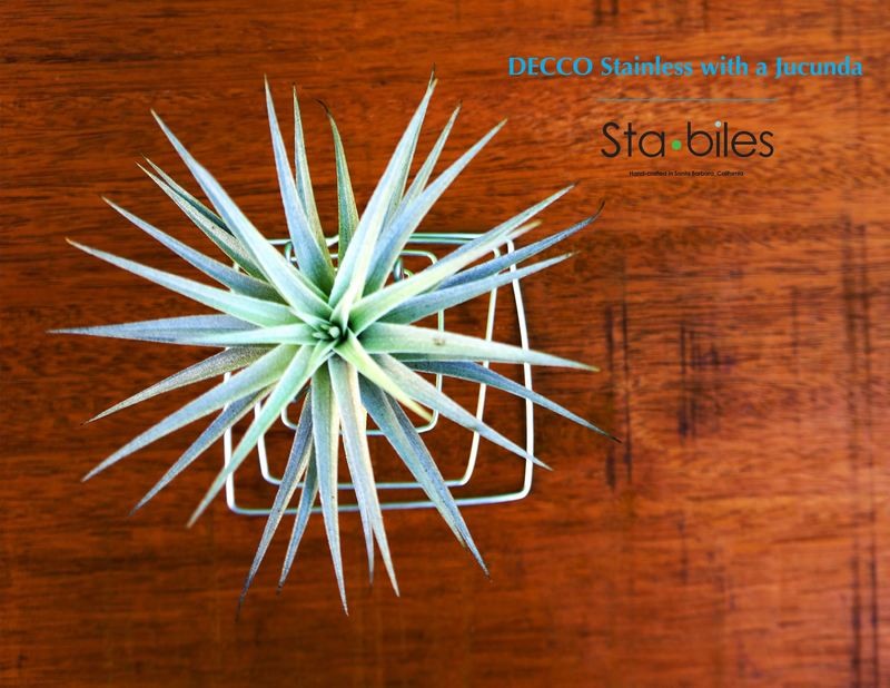 DECCO W/Jucunda in Black or Stainless