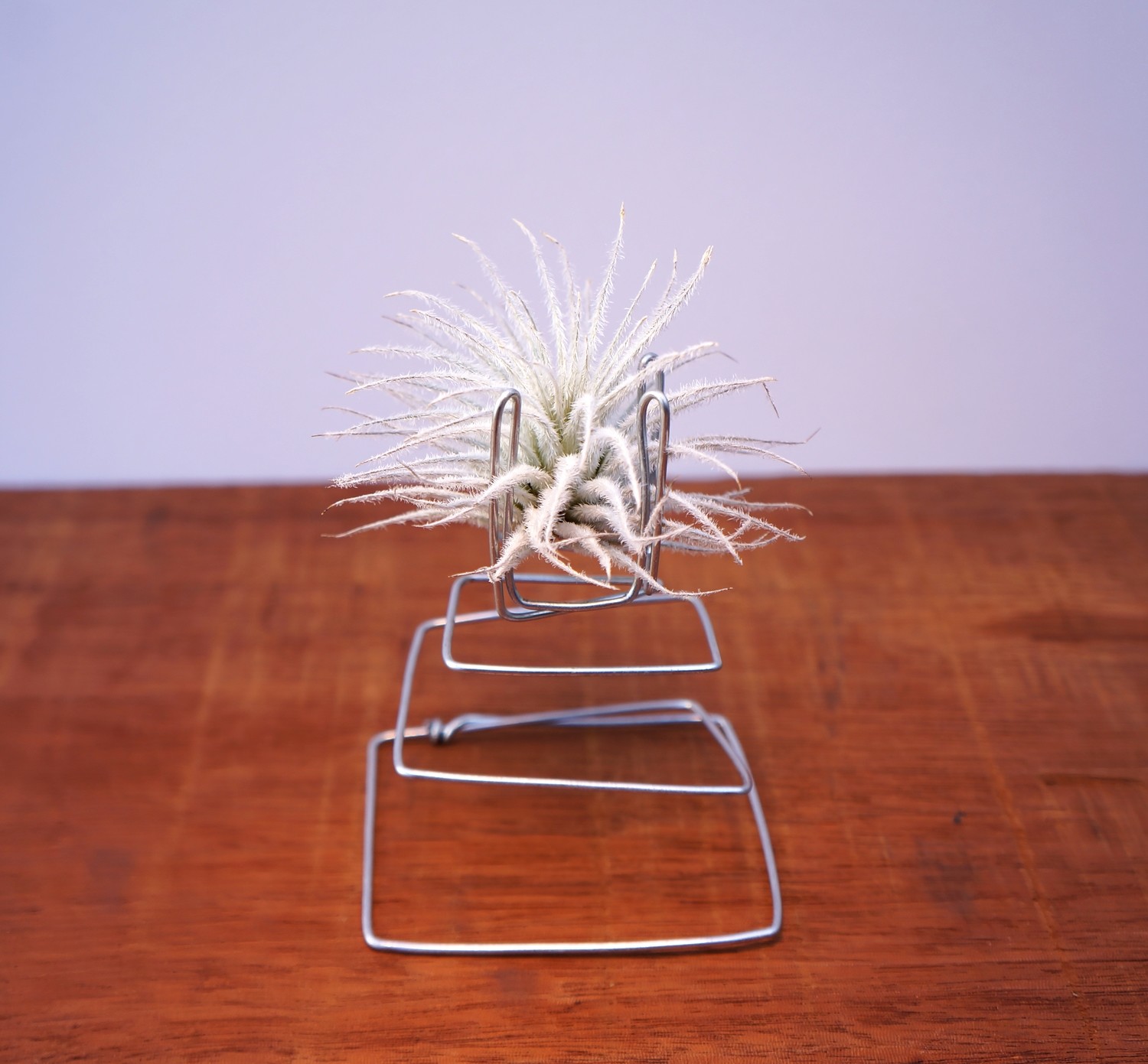 DECCO With Tectorum in Black or Stainless