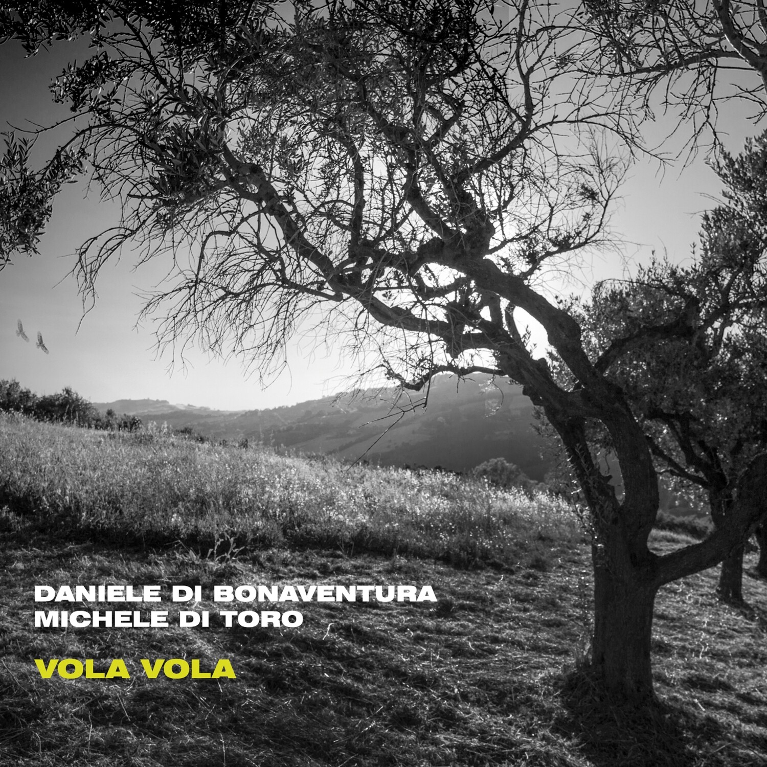 DANIELE DI BONAVENTURA & MICHELE DI TORO «Vola vola»