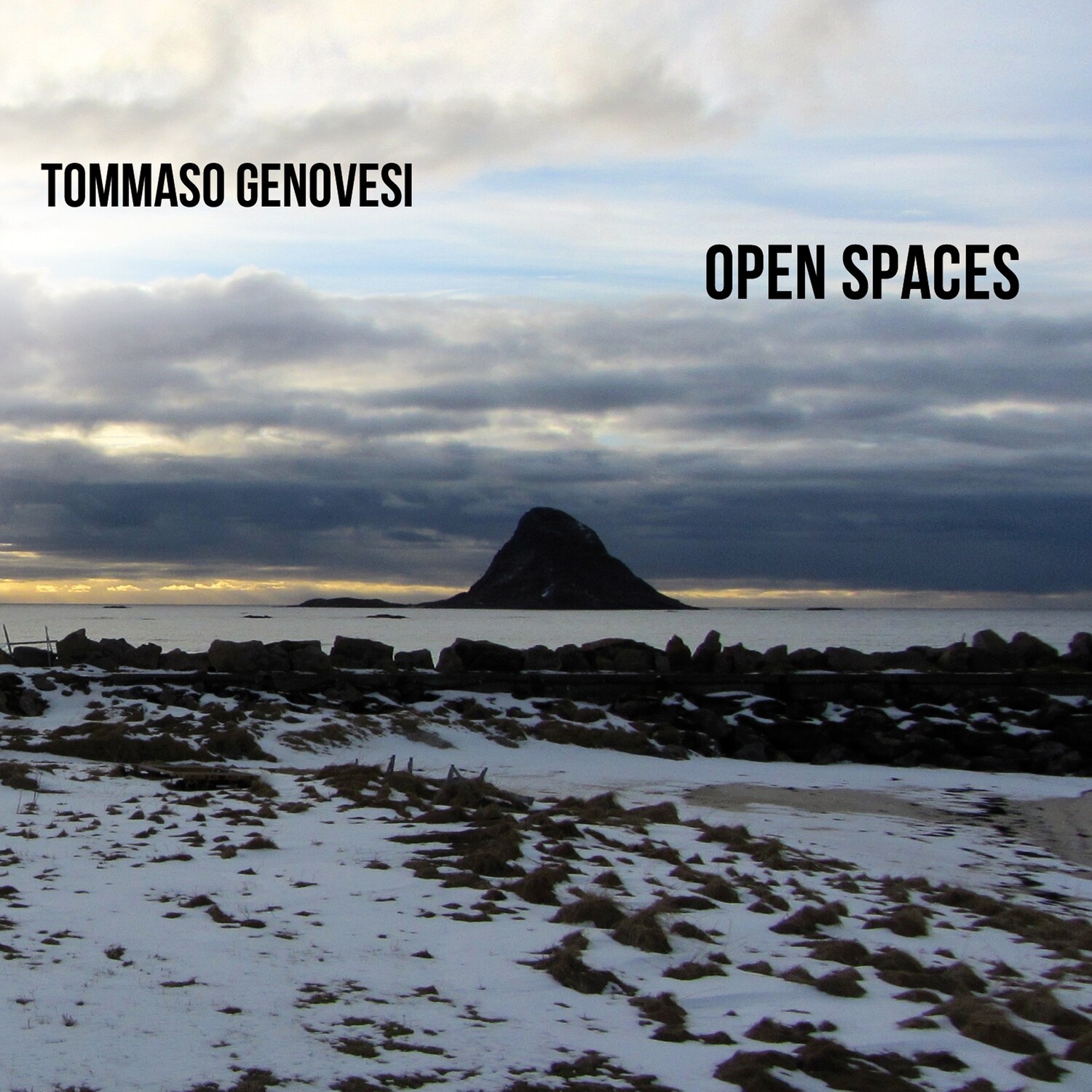 TOMMASO GENOVESI «Open Spaces»