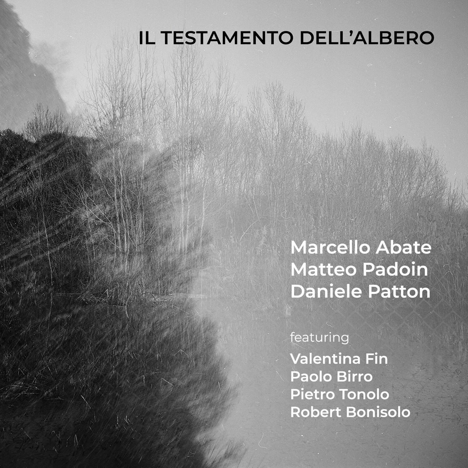 MARCELLO ABATE / MATTEO PADOIN / DANIELE PATTON / VALENTINA FIN  «Il testamento dell&#39;albero»