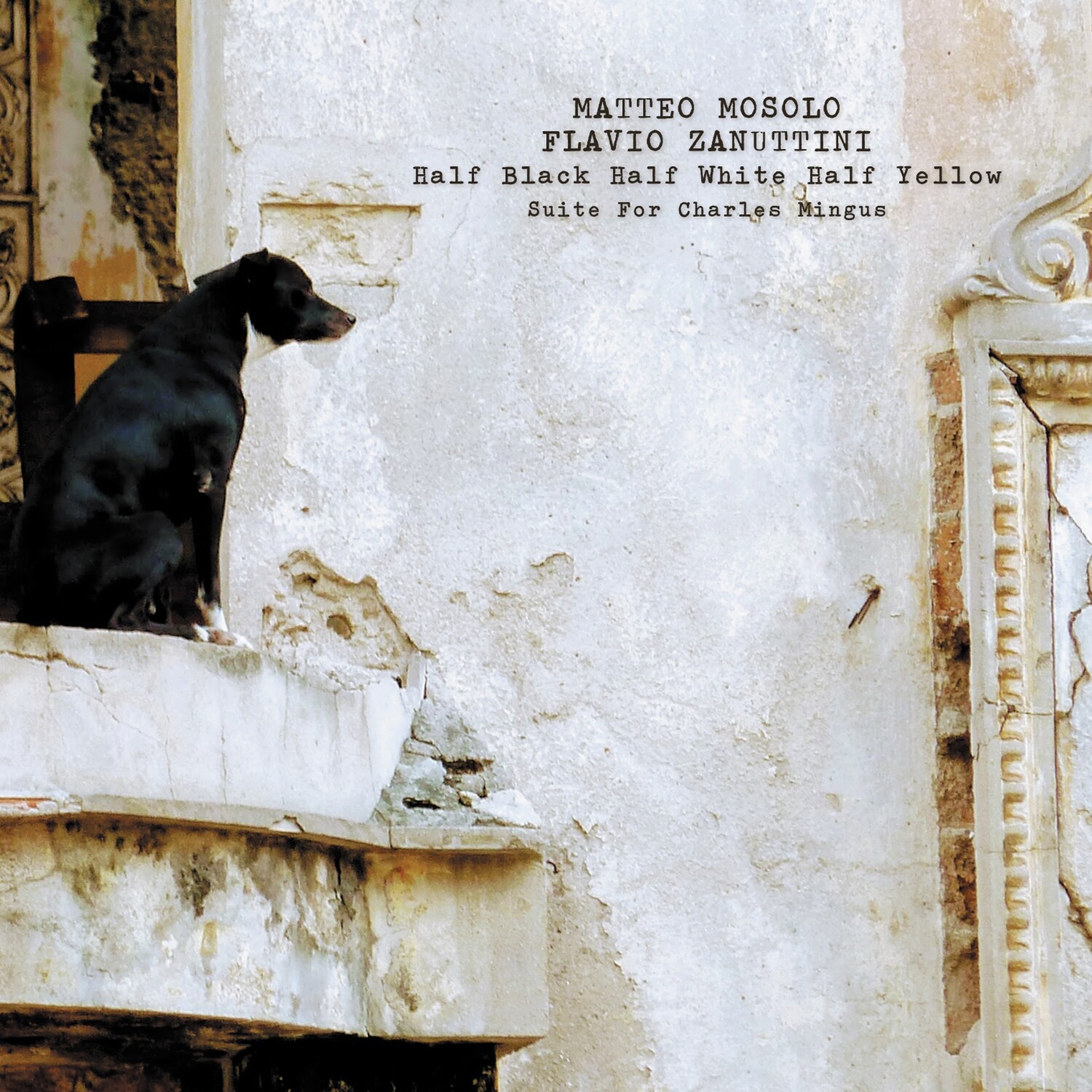 MATTEO MOSOLO &amp; FLAVIO ZANUTTINI  «Half Black Half White Half Yellow»