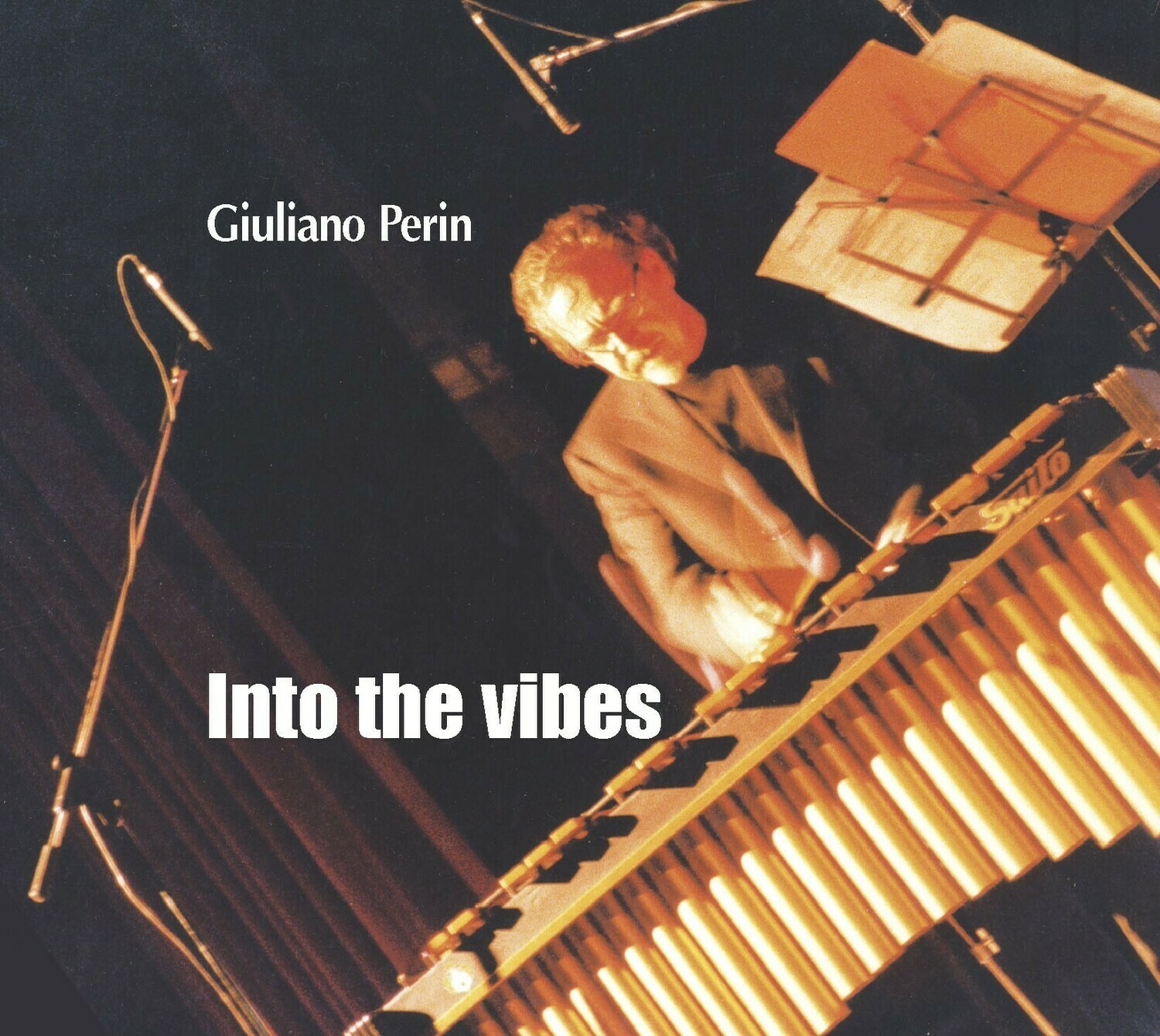 GIULIANO PERIN  «Into the vibes»