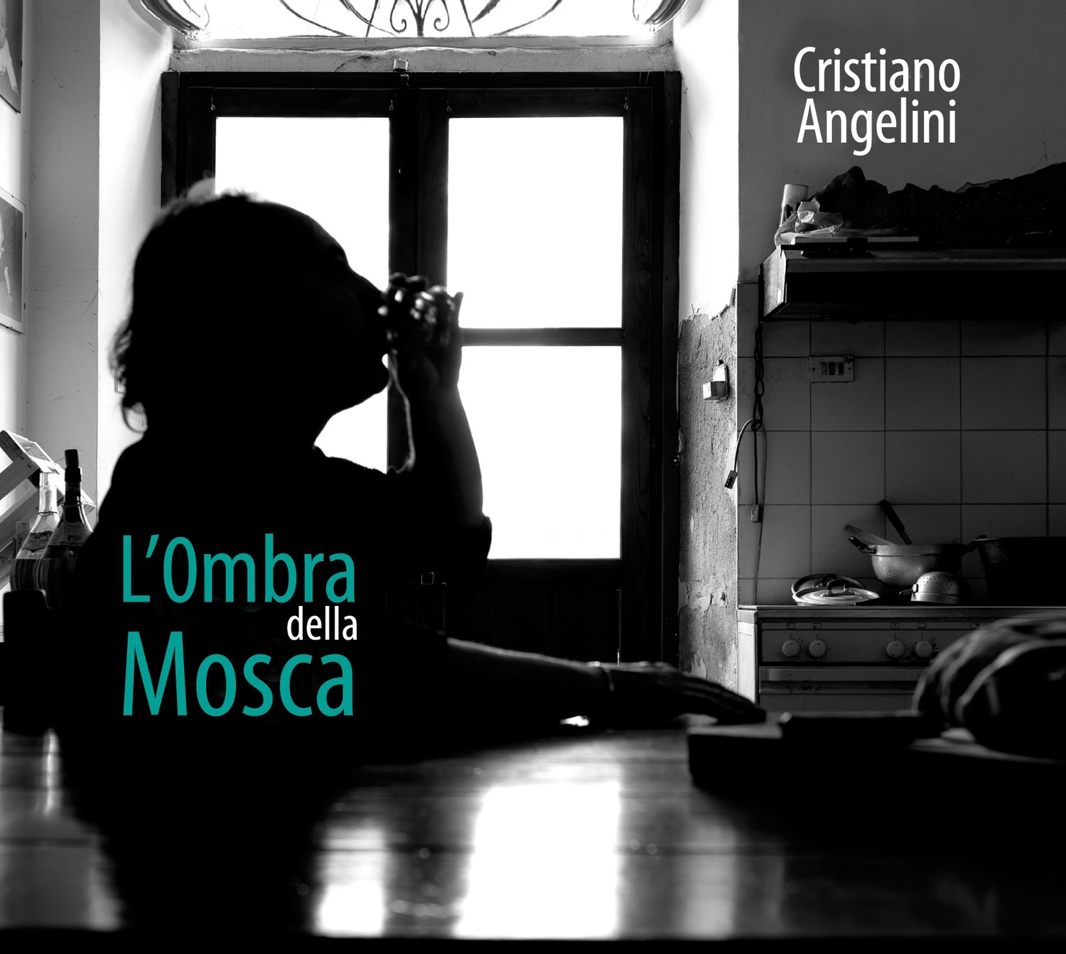 CRISTIANO ANGELINI   «L’ombra della mosca»