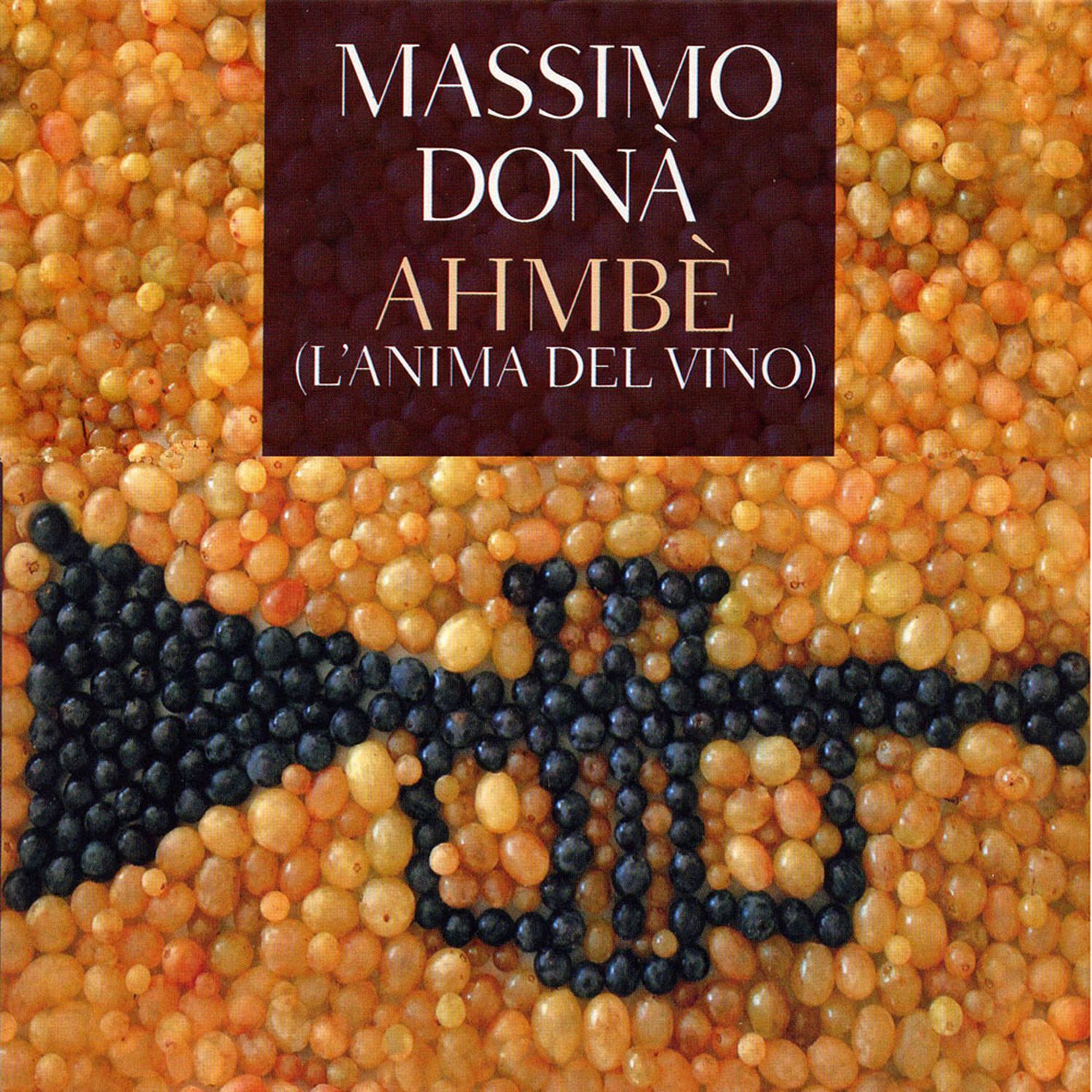 Massimo Donà  «Ahmbè (L'anima del vino)»