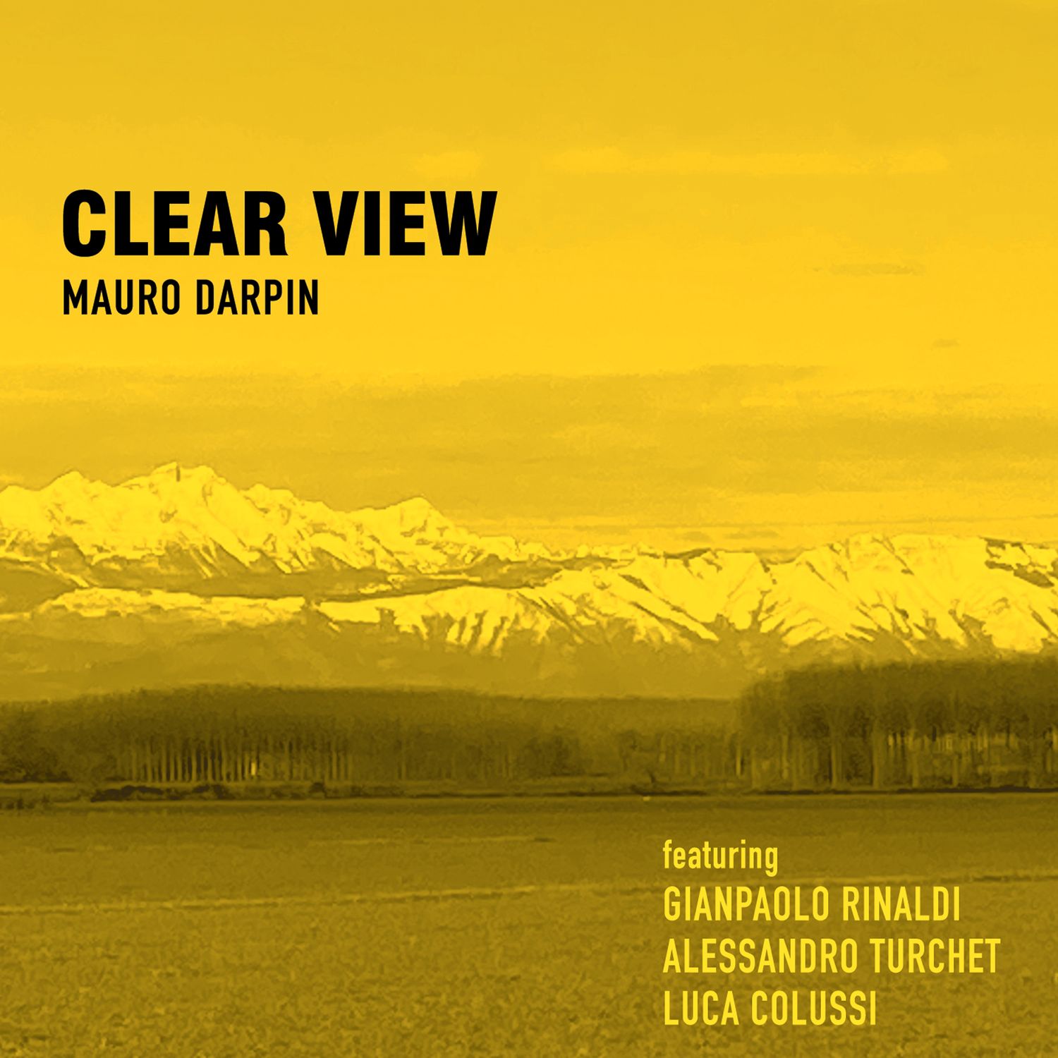 Mauro Darpin «Clear View»