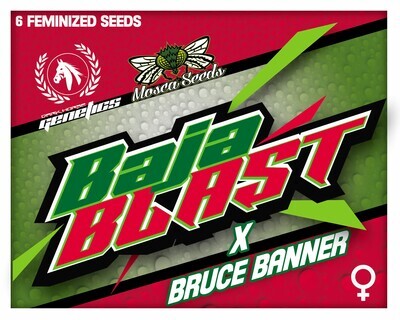 Mosca x DarkHorse Collabs