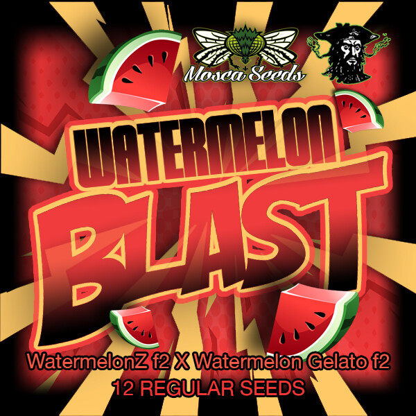Watermelon Blast - 12 Pack