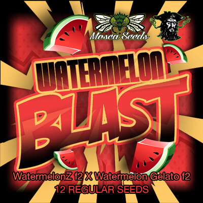 Watermelon Blast - 12 Pack