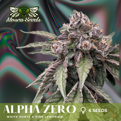 Alpha Zero - 6 Pack