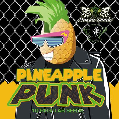 Pineapple Punk - 3 Pack