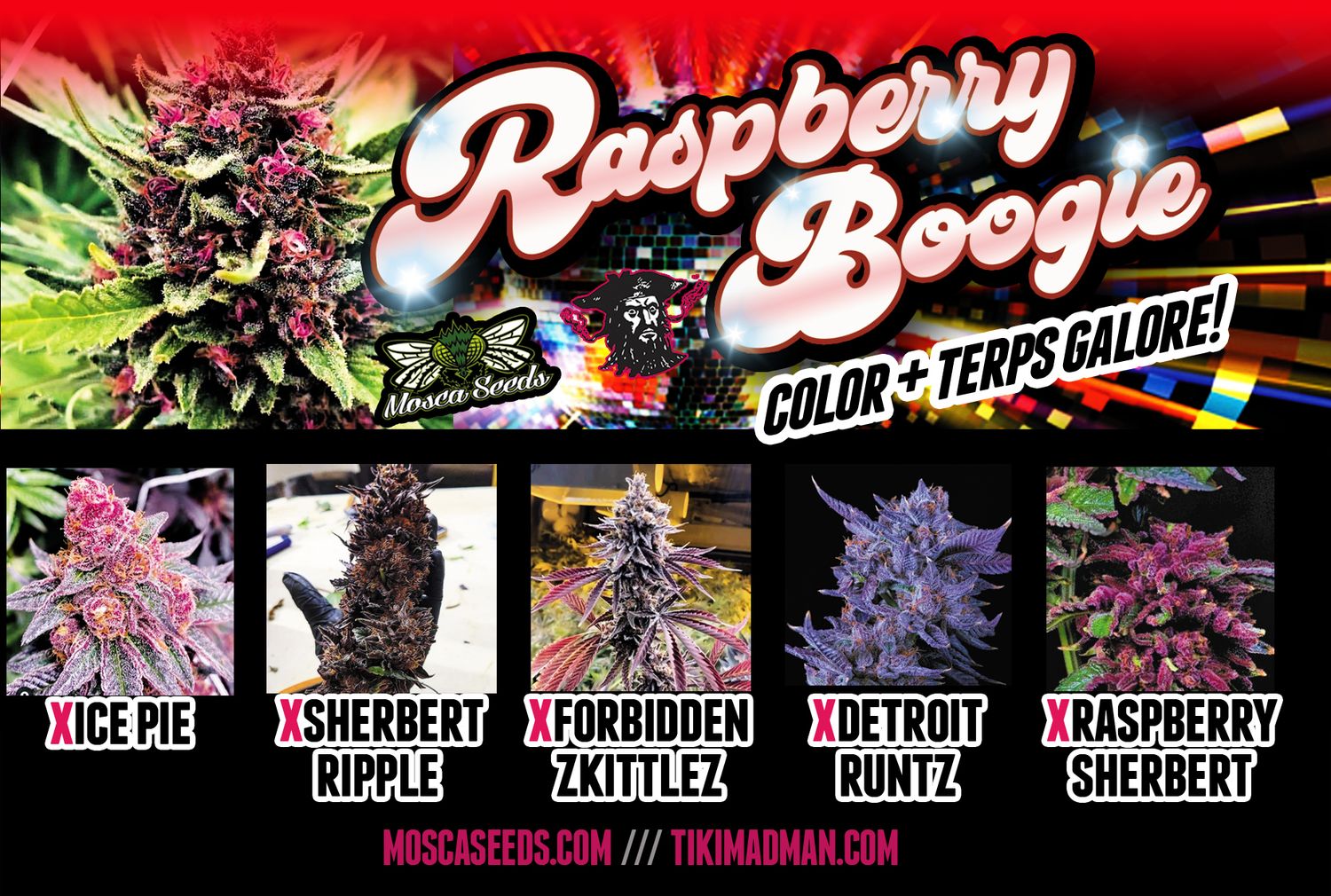 Raspberry Boogie Box Set - Tiki Madman Collab