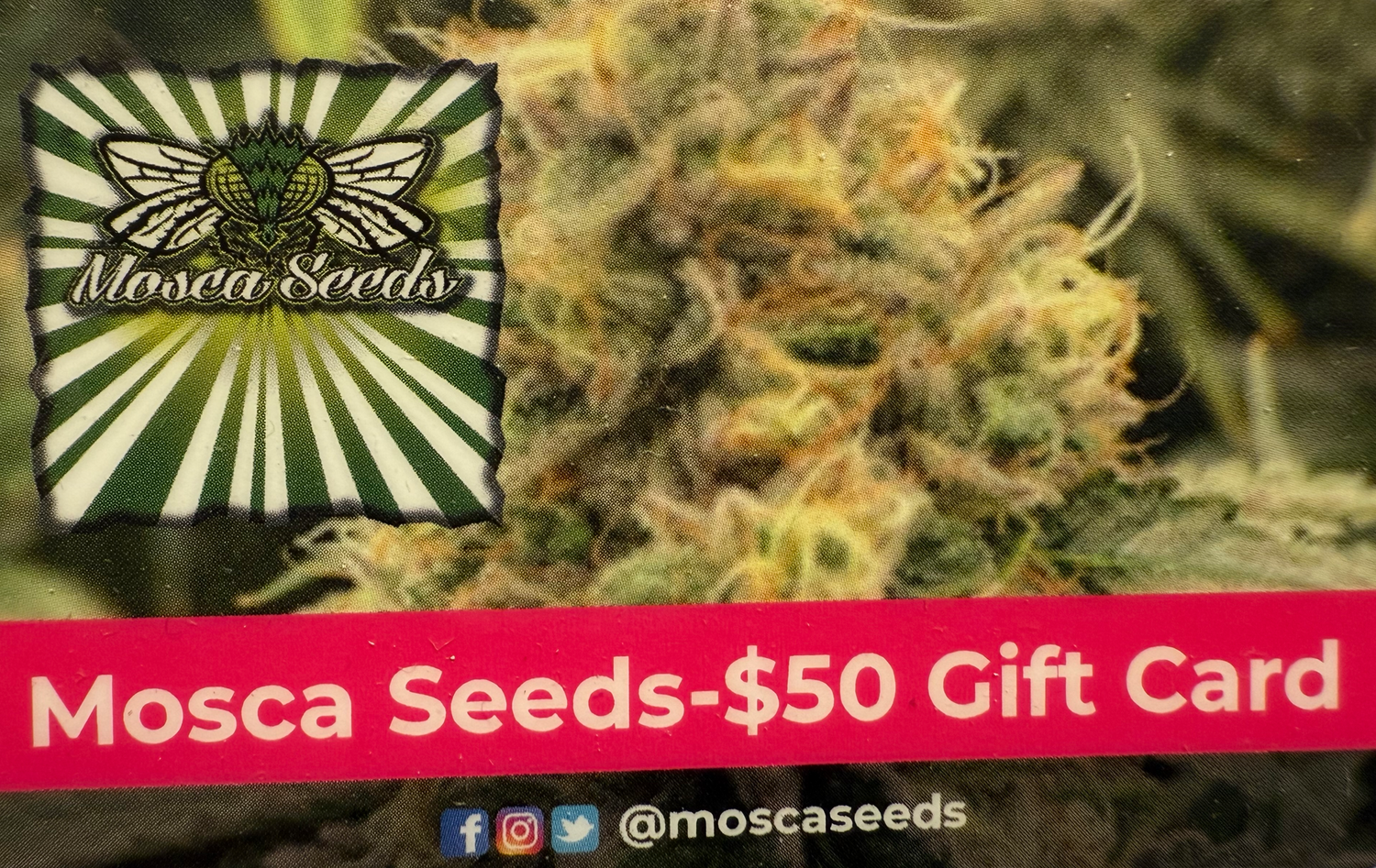$50 Mosca Seeds Gift Card