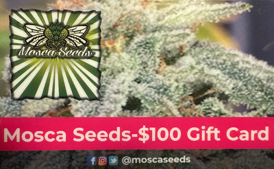 $100 Mosca Seeds Gift Card