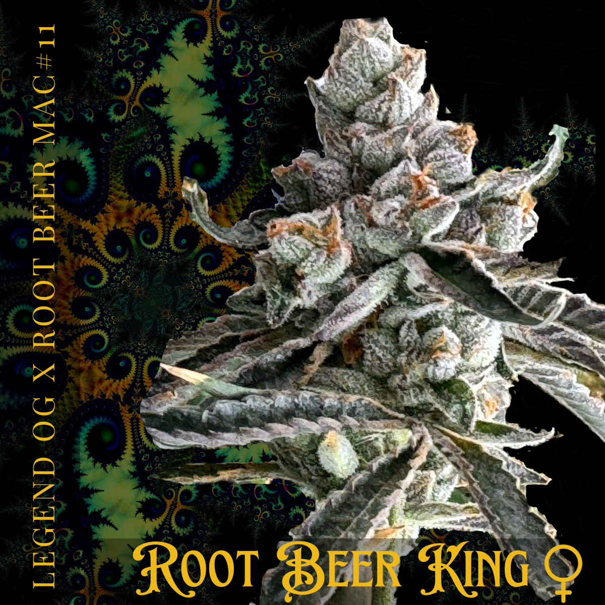 Root Beer King