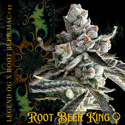 Root Beer King