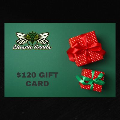 $120 Mosca Gift Card