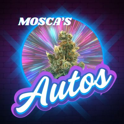 Feminized AutoFlower