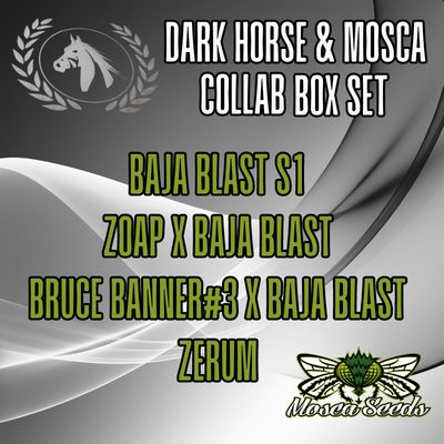Darkhorse Mosca Box Set