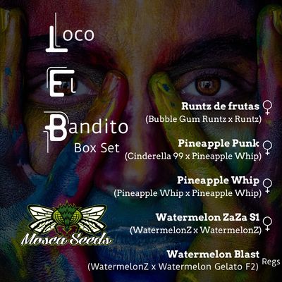 Loco El Bandito Box Set