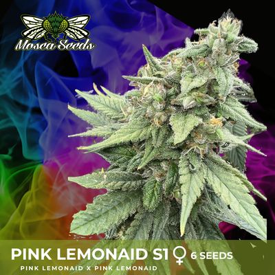 Pink LemonAid S1 - 3 Pack