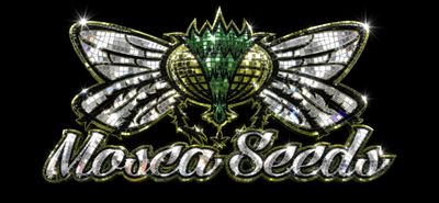 Latest &amp; Greatest!
