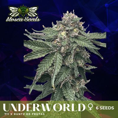 Underworld - 3 Pack