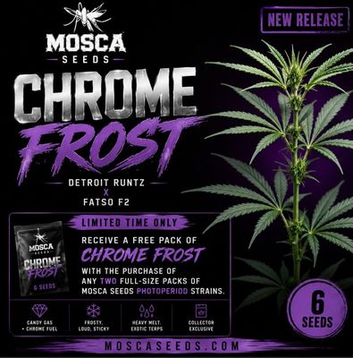 Chrome Frost