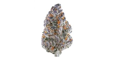 Ice Cream Zundae (Super Limited Restock)
