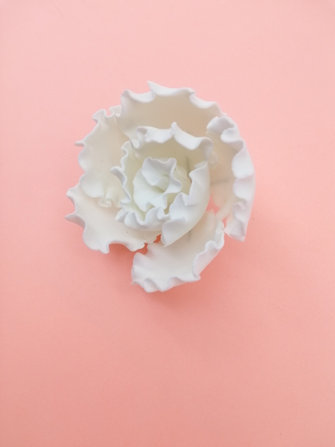RAFFLED ROSE MEDIUM