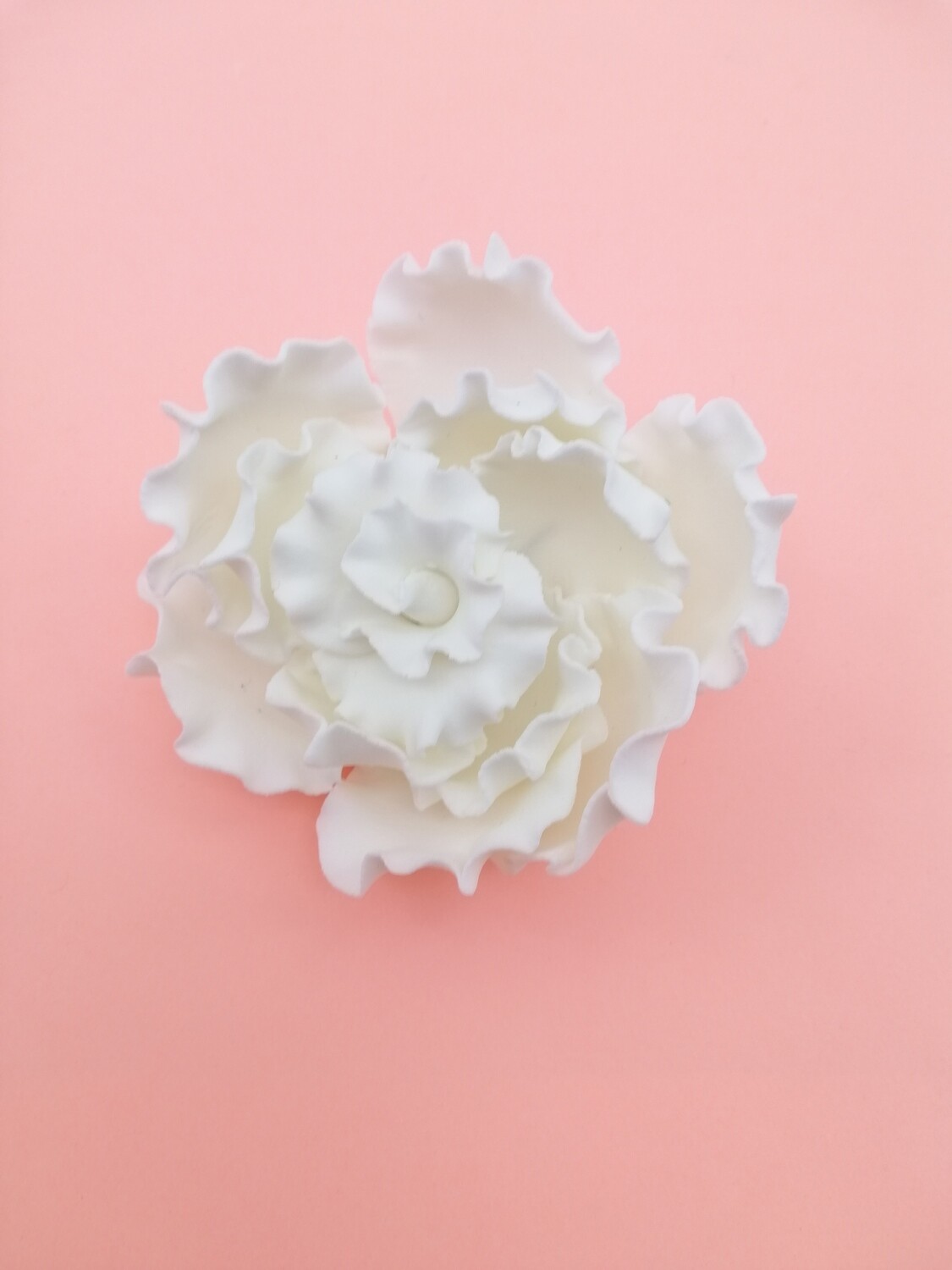 RAFFLED ROSE LARGE WHITE