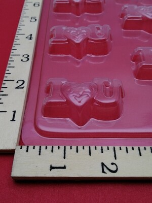 CLI MOLD #6008