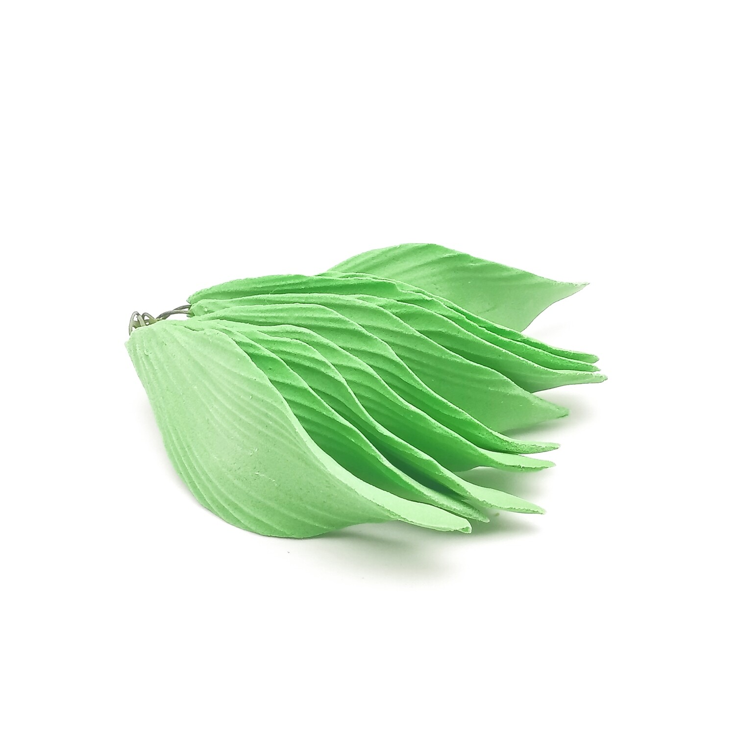 CARNATION LEAVES