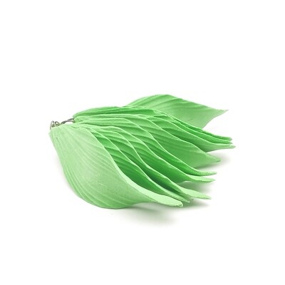 CARNATION LEAVES