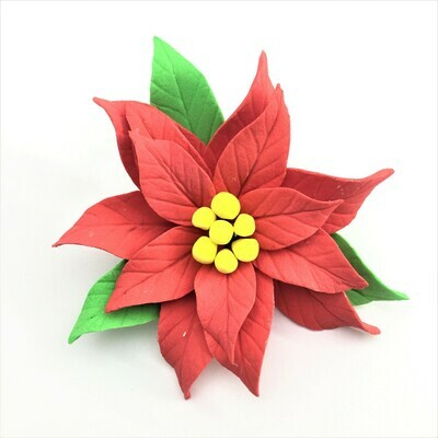 SL0142 POINSETTIA MED