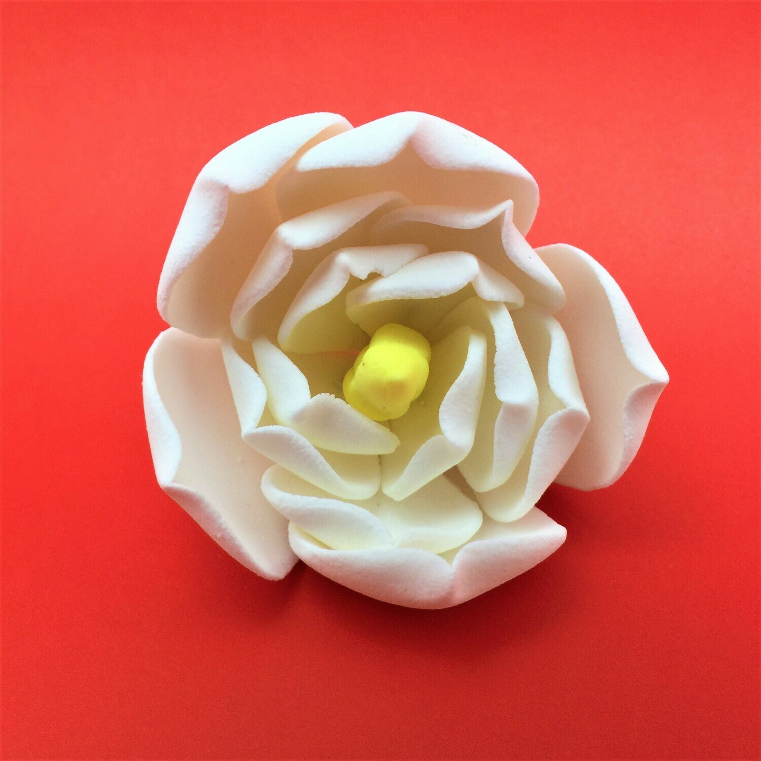MAGNOLIA WHITE TOPPER