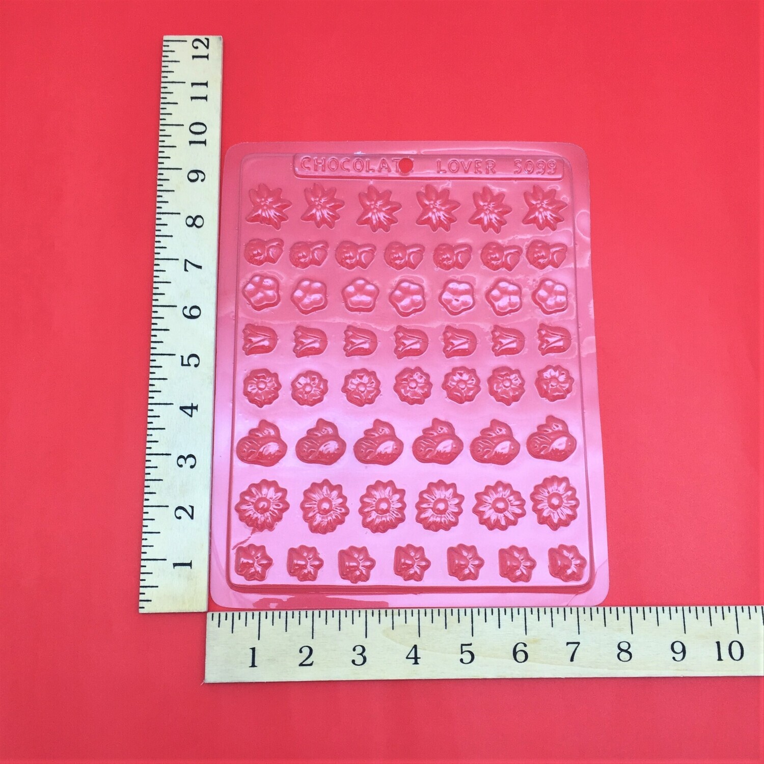 CLI MOLD #5099
