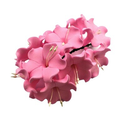 AZALEA 10N1 PINK EDIBLE TOPPER