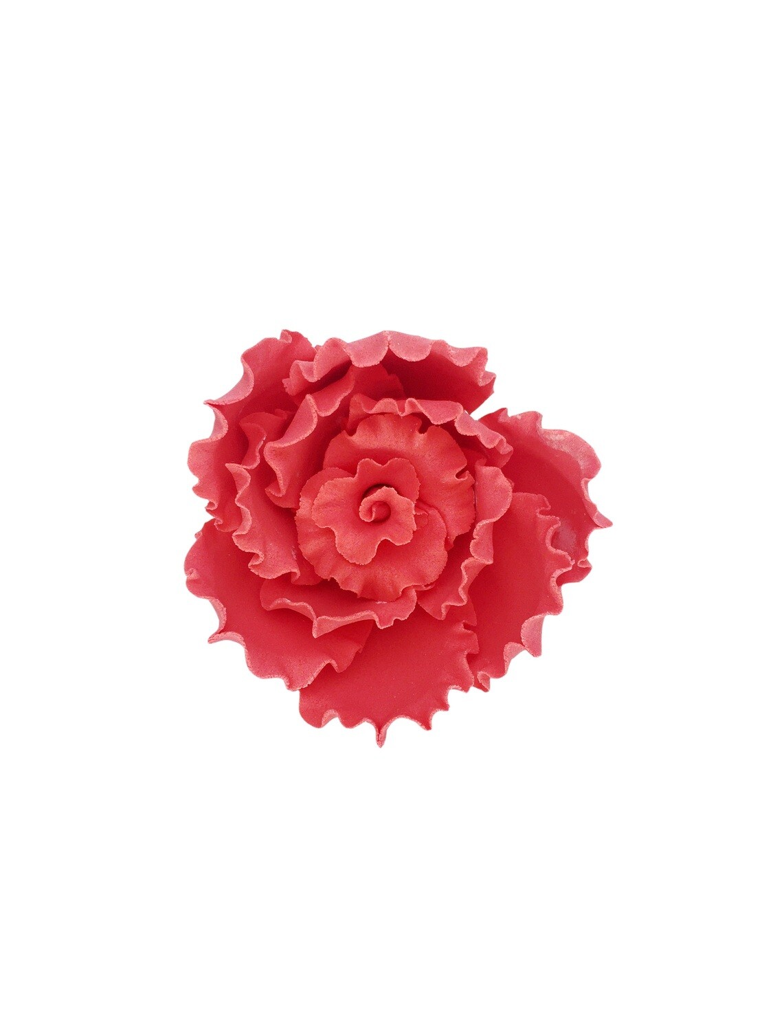 RAFFLED ROSE LARGE