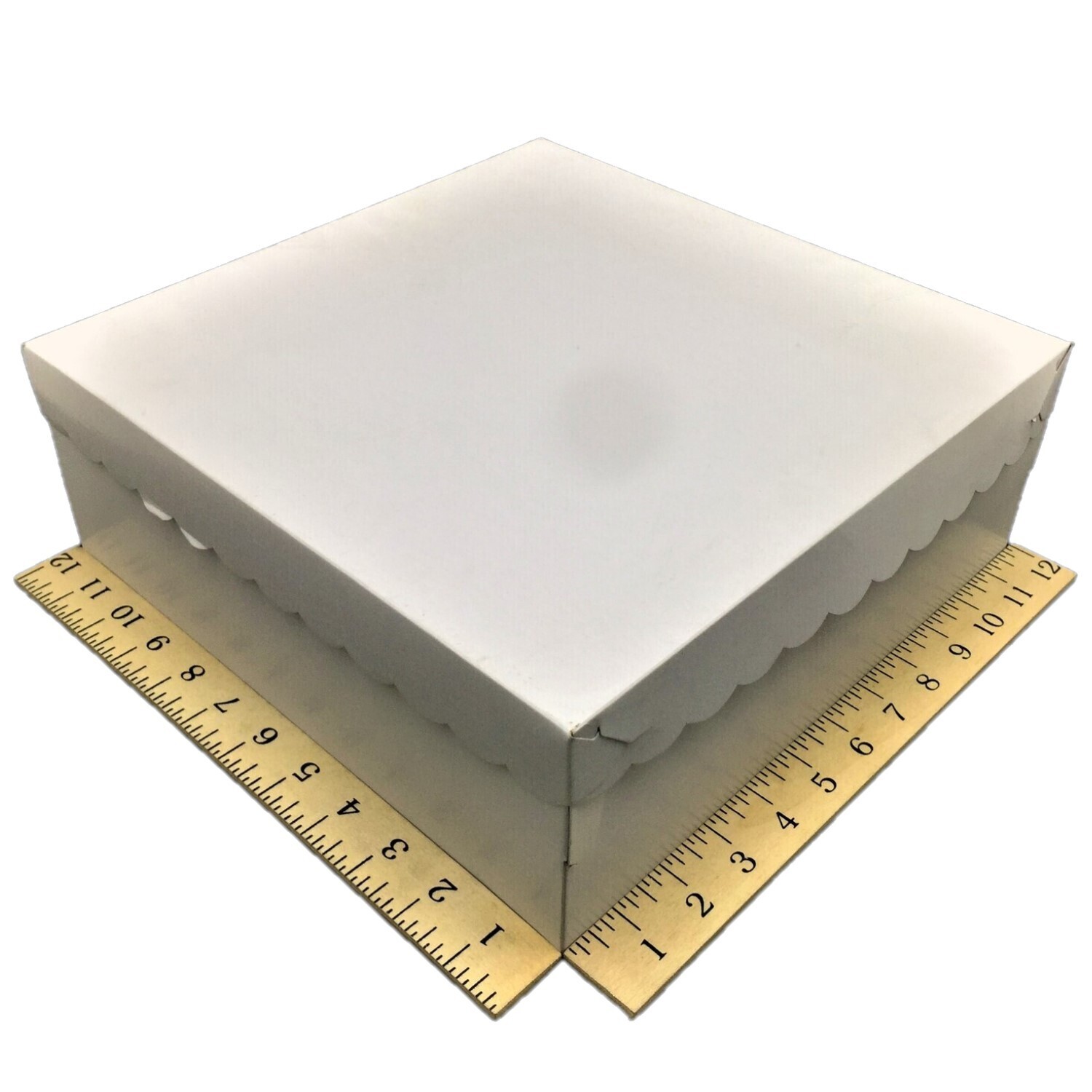 12&quot; X 12&quot; X 4½&quot; SCALLOPED ALL WHITE 10&#39;s