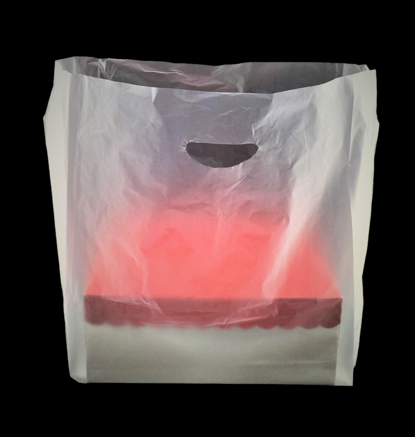 13½&quot; X 12½&quot; X 21&quot; PLASTIC BAG