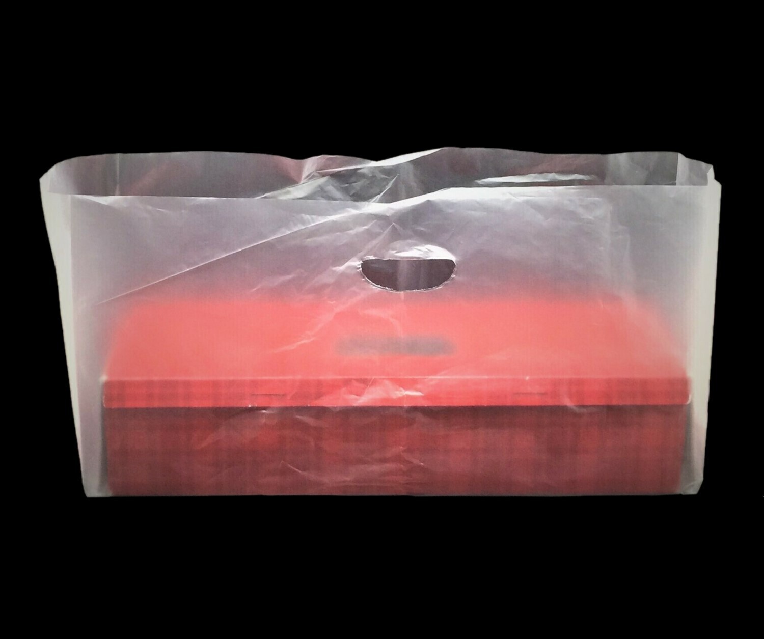19&quot; X 6&quot; X 13&quot; PLASTIC BAG