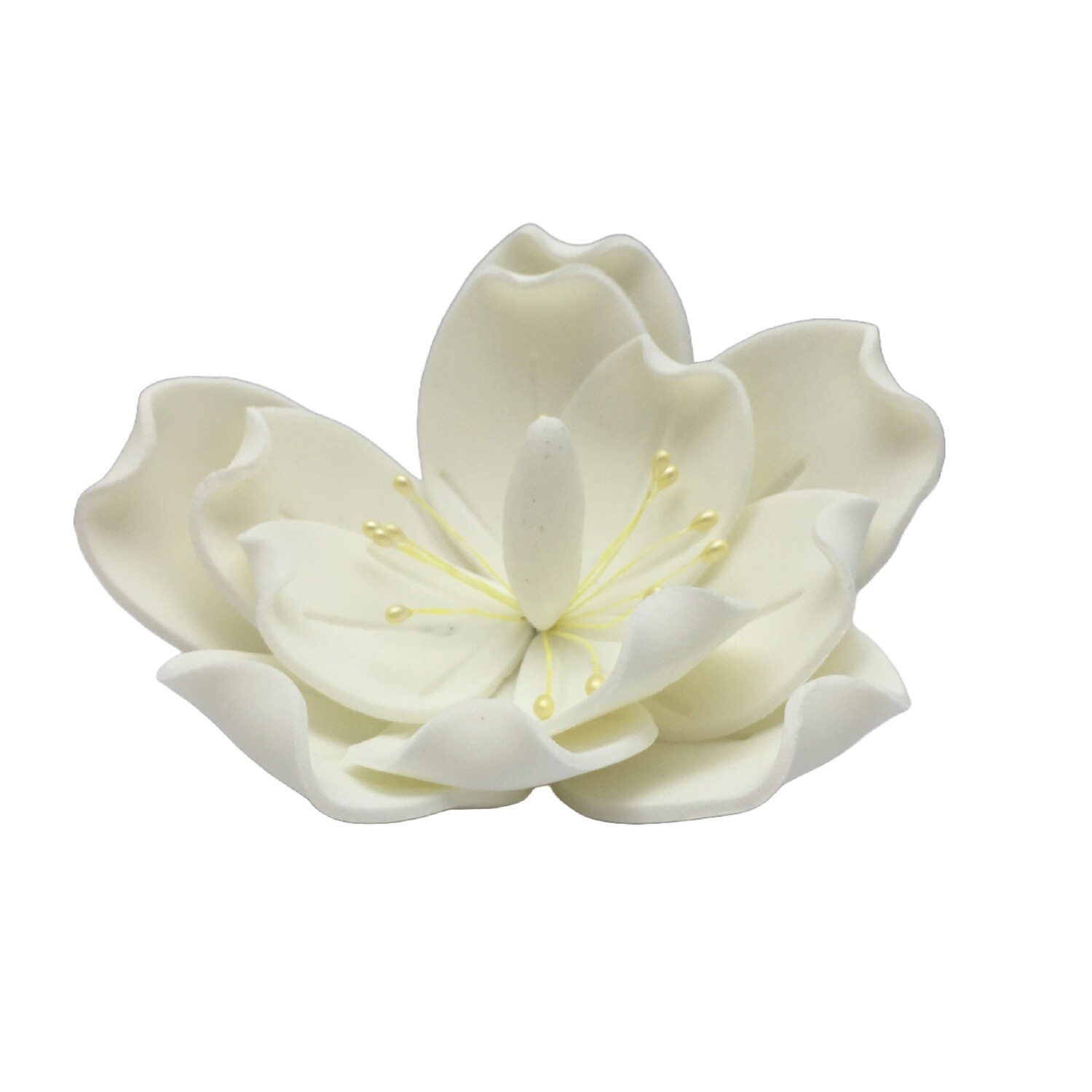 JOS MAGNOLIA FLOWER BIG