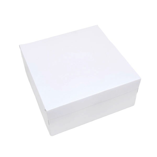 10&quot; X 10&quot; X 4½&quot; ALL WHITE 10&#39;s