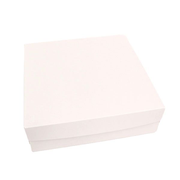 10&quot; X 10&quot; X 3&quot; ALL WHITE 10&#39;s