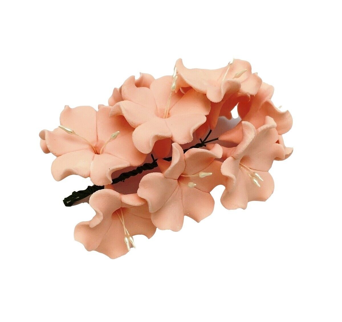 AZALEA 10N1 PEACH EDIBLE TOPPER