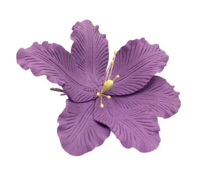 TIGER LILY VIOLET