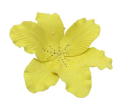 TIGER LILY YELLOW