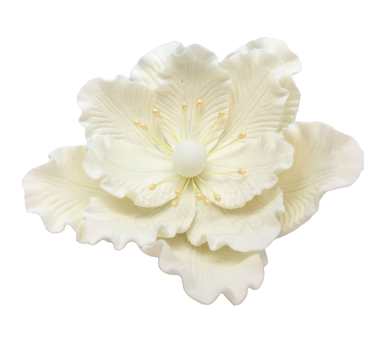 JOS PEONY FLOWER BIG